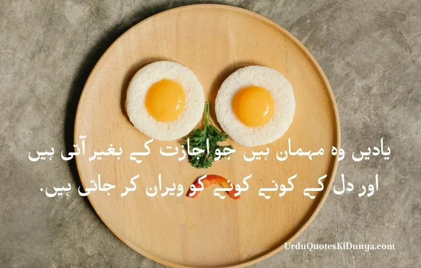 Sad quotes in urdu