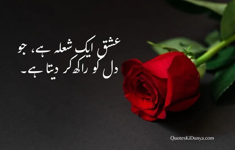 Urdu Love Shayari