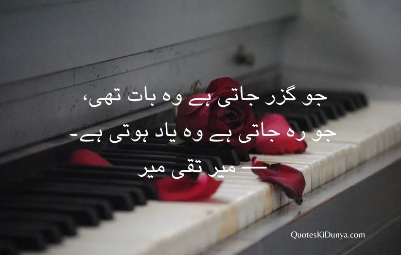 love shaari